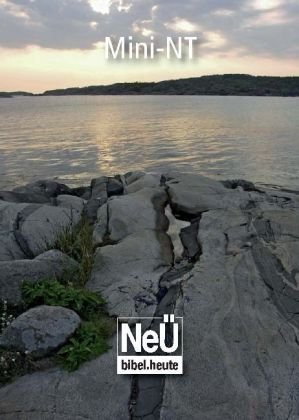 NeÜ bibel.heute: Mini NT Motiv Meer Religion & Esotericism