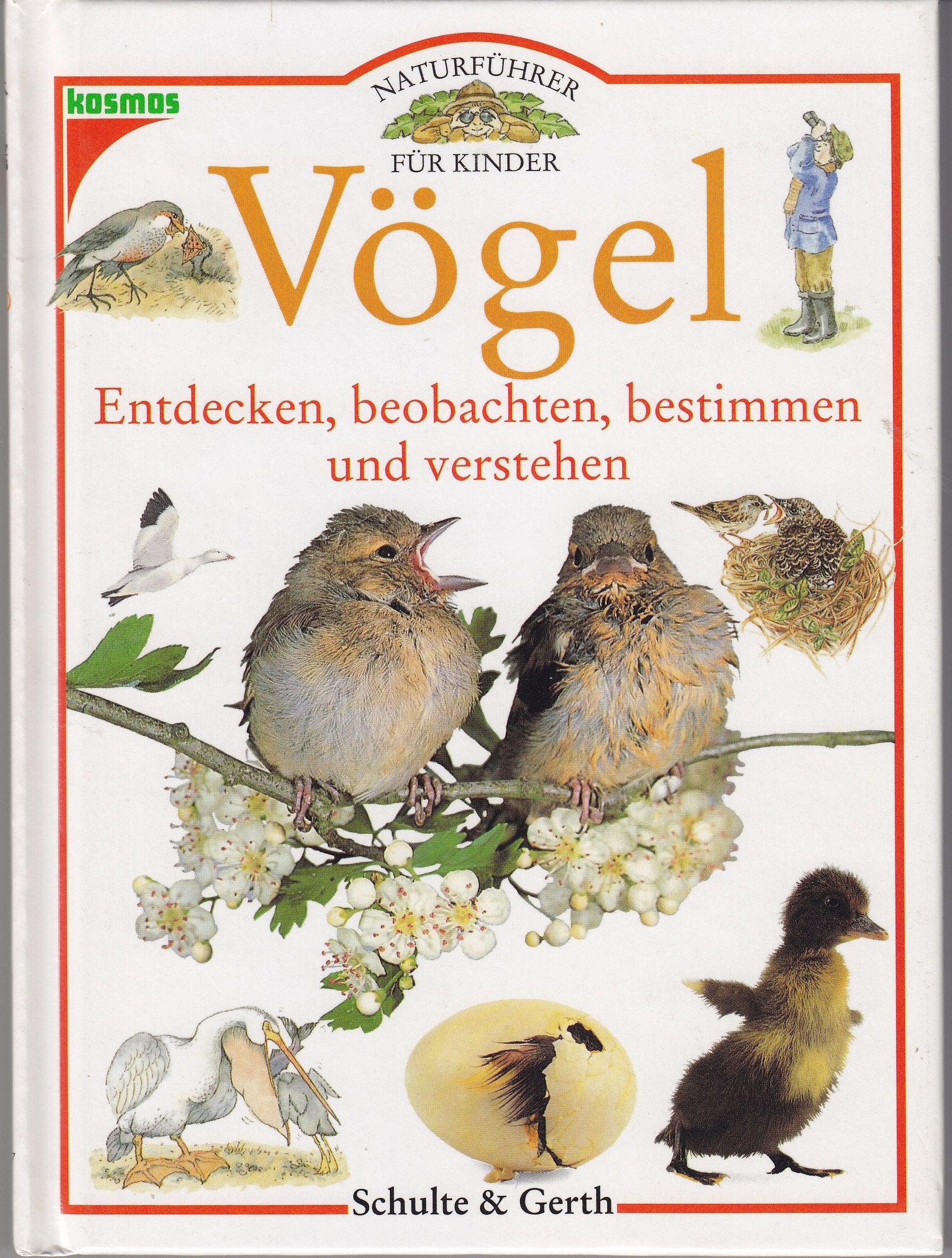 Vögel: Entdecken, beobachten, bestimmen und verstehen (Naturführer für Kinder) Books
