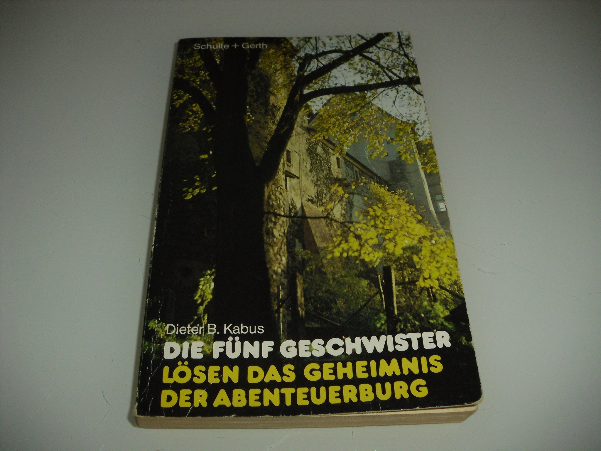 Die fünf Geschwister lösen das Geheimnis der Abenteuerburg Books