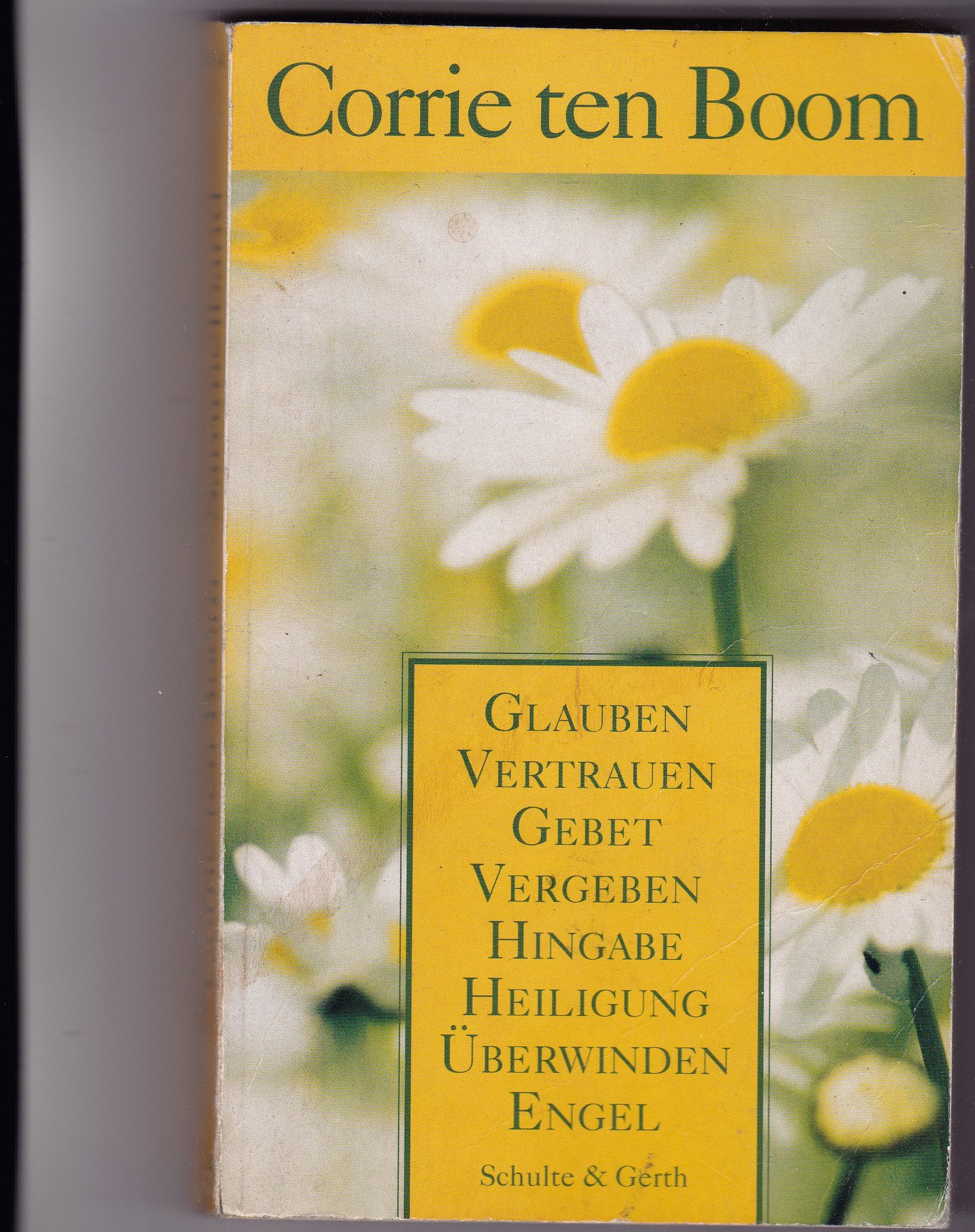 Sammelband: Glauben/Vertrauen/Vergeben/Überwinden/Gebet/Hingabe/Heiligung/Engel Religion & Esotericism
