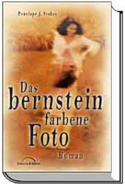 Das bernsteinfarbene Foto: Roman Contemporary literature