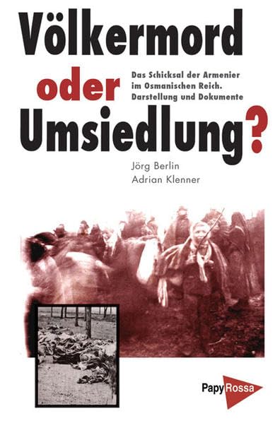 Völkermord oder Umsiedlung?: Die Armenier im Osmanischen Reich - Darstellung und Dokumente: Das Schicksal der Armenier im Osmanischen Reich. Darstellung und Dokumente Politics & History