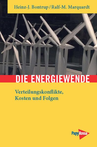 Die Energiewende: Verteilungskonflikte, Kosten und Folgen Business, Finance & Career