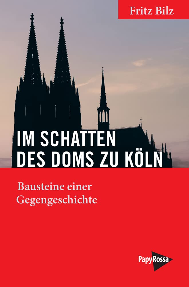 Im Schatten des Doms zu Köln book