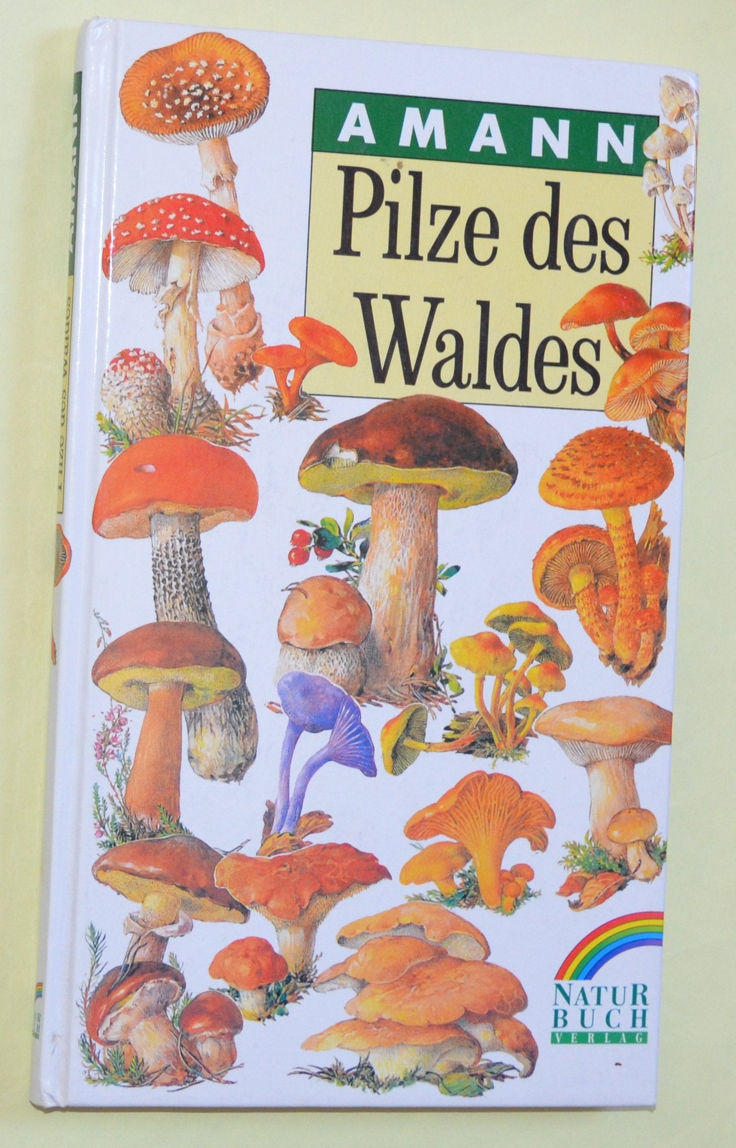 Pilze des Waldes. ( Teilausgabe von: Bodenpflanzen des Waldes) Natural Sciences
