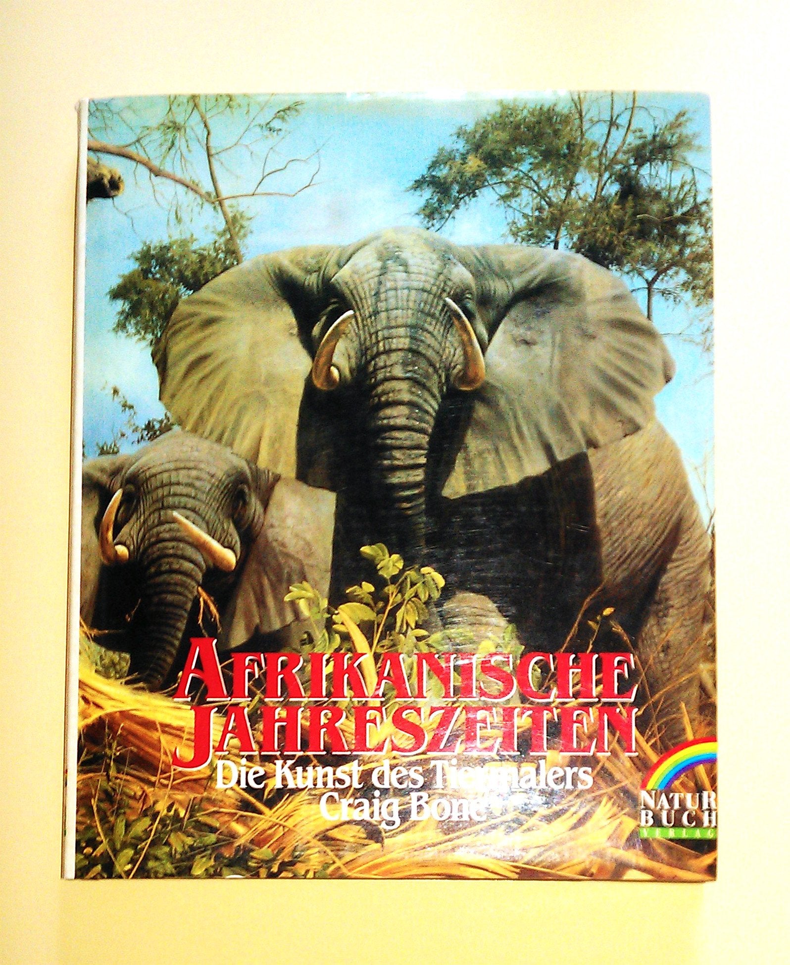 Afrikanische Jahreszeiten - die Kunst des Tiermalers Craig Bone Books