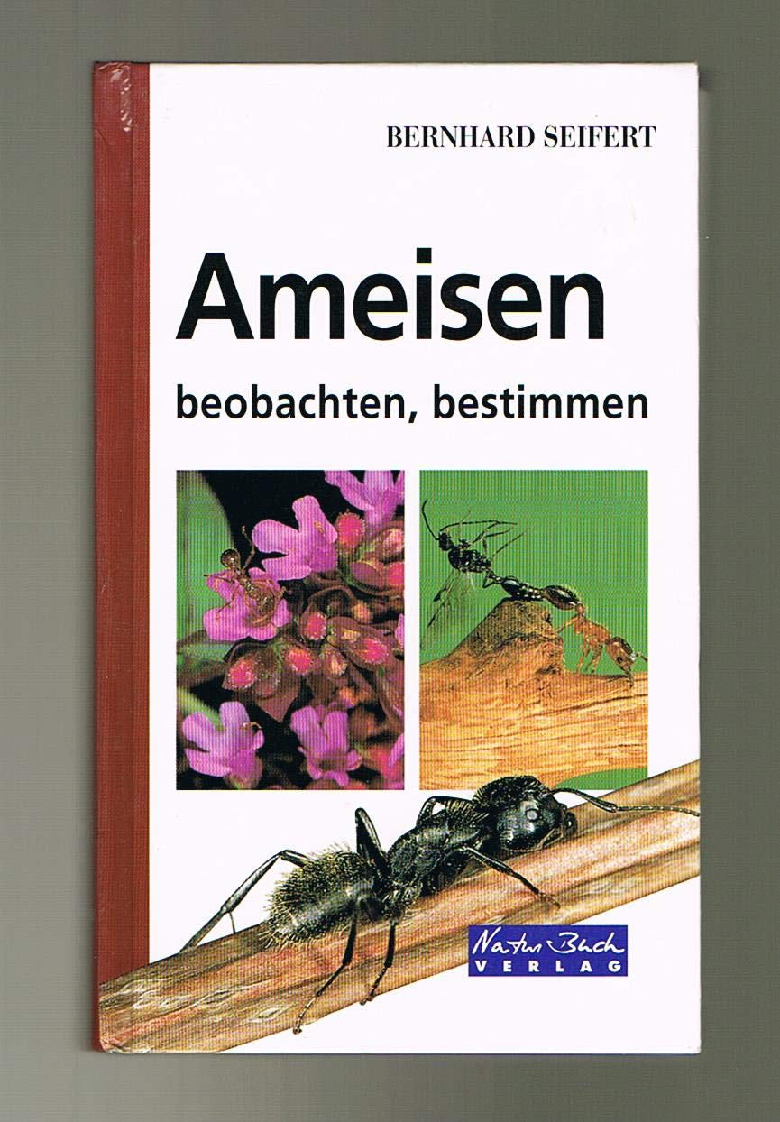 Product Image: Ameisen