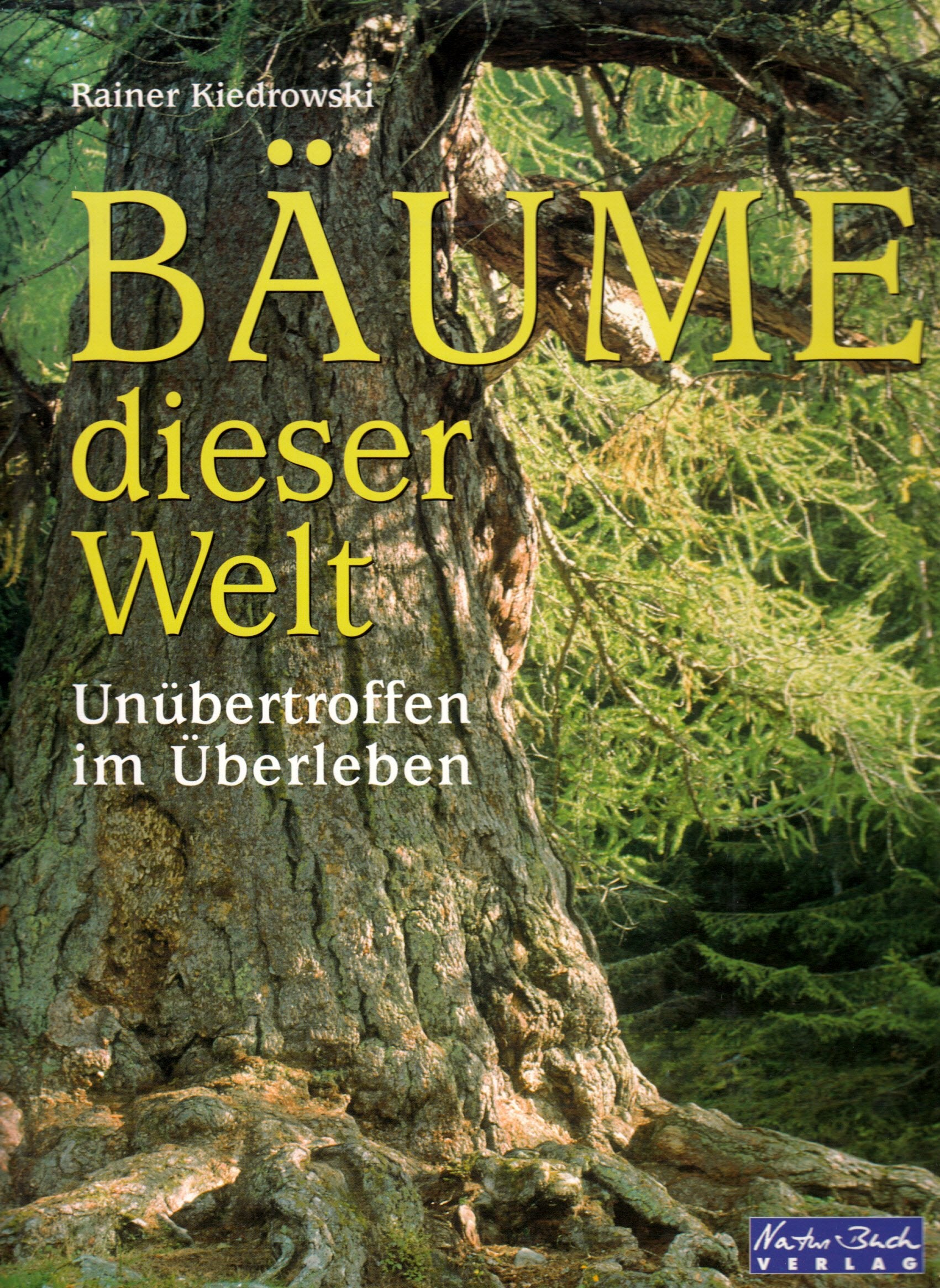 Bäume dieser Welt. Unübertroffen im Überleben Photography