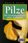 Pilze Garden & Plants