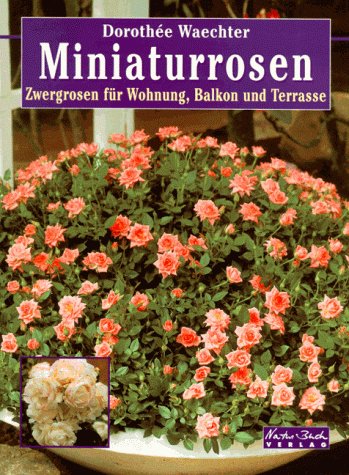 Miniaturrosen. Zwergrosen für Wohnung, Balkon und Terrasse Garden & Plants