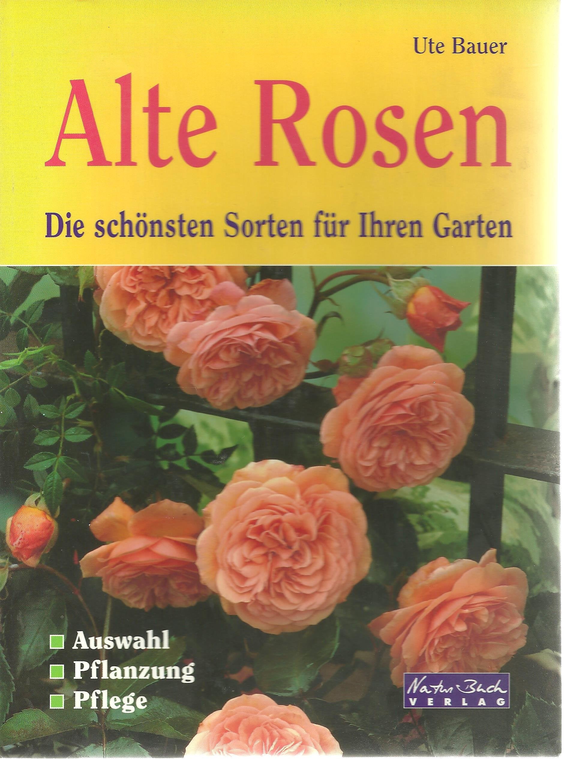 Alte Rosen. Die schönsten Sorten für den Garten. Auswahl, Pflanzung Pflege Leisure, Home & Garden