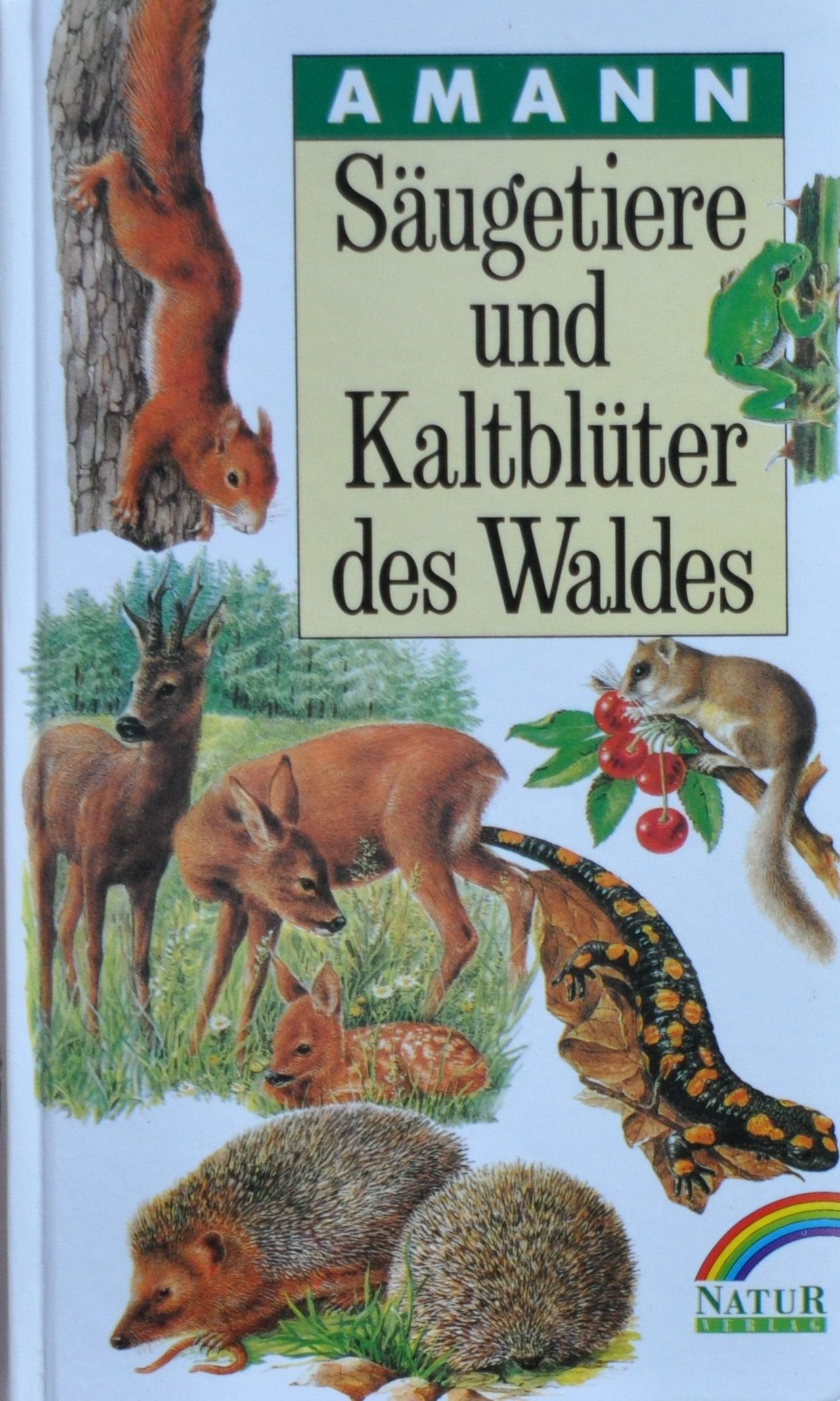Säugetiere und Kaltblüter des Waldes. Taschenbildbuch Natural Sciences