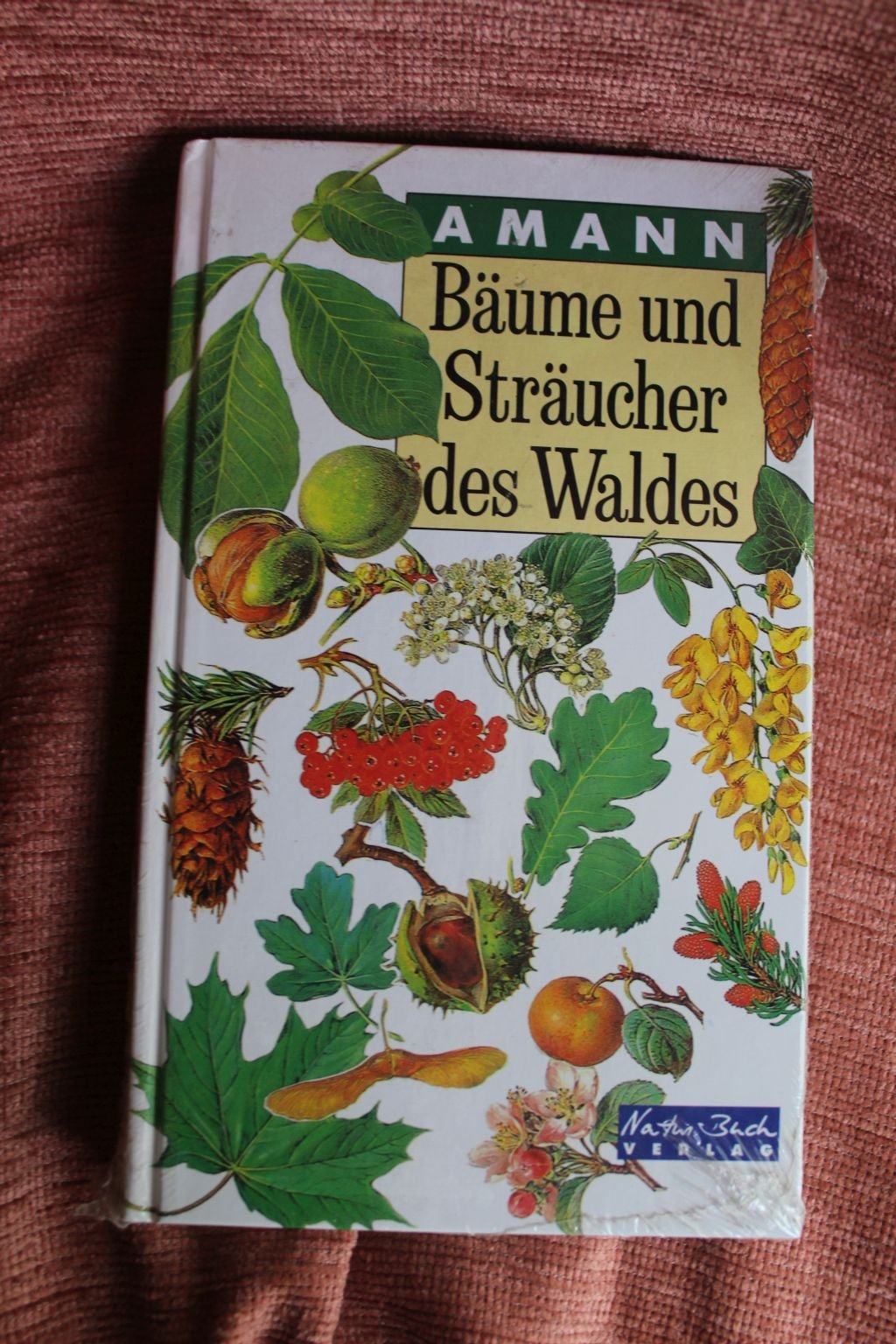Bäume und Sträucher des Waldes Natural Sciences