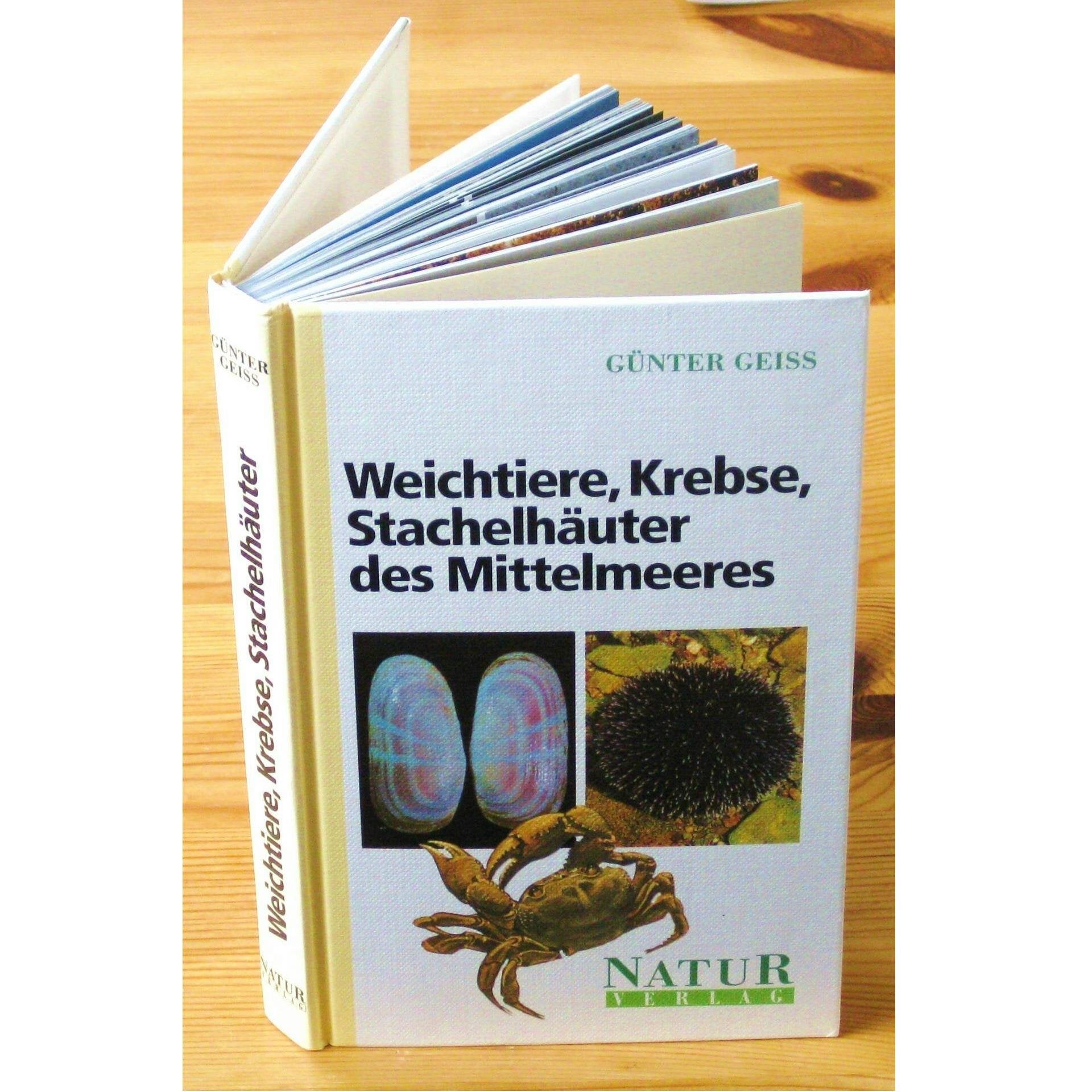 Weichtiere, Krebse, Stachelhäuter des Mittelmeeres Film, Art & Culture