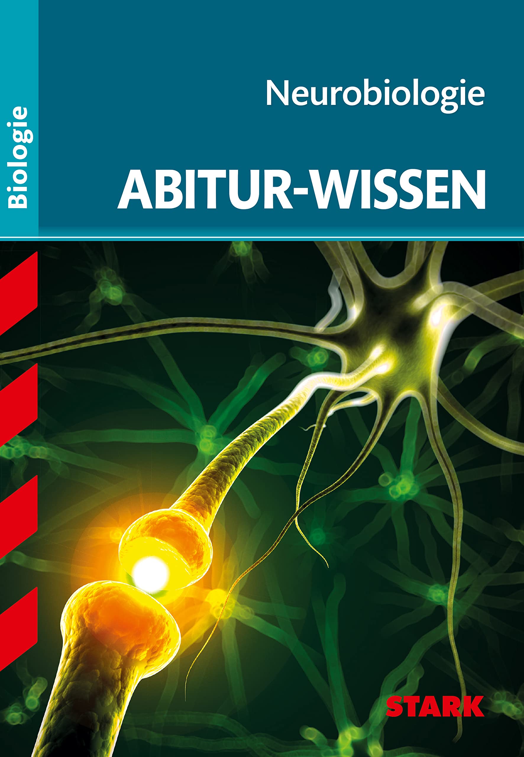 Abitur-Wissen Biologie. Neurobiologie Study Guides