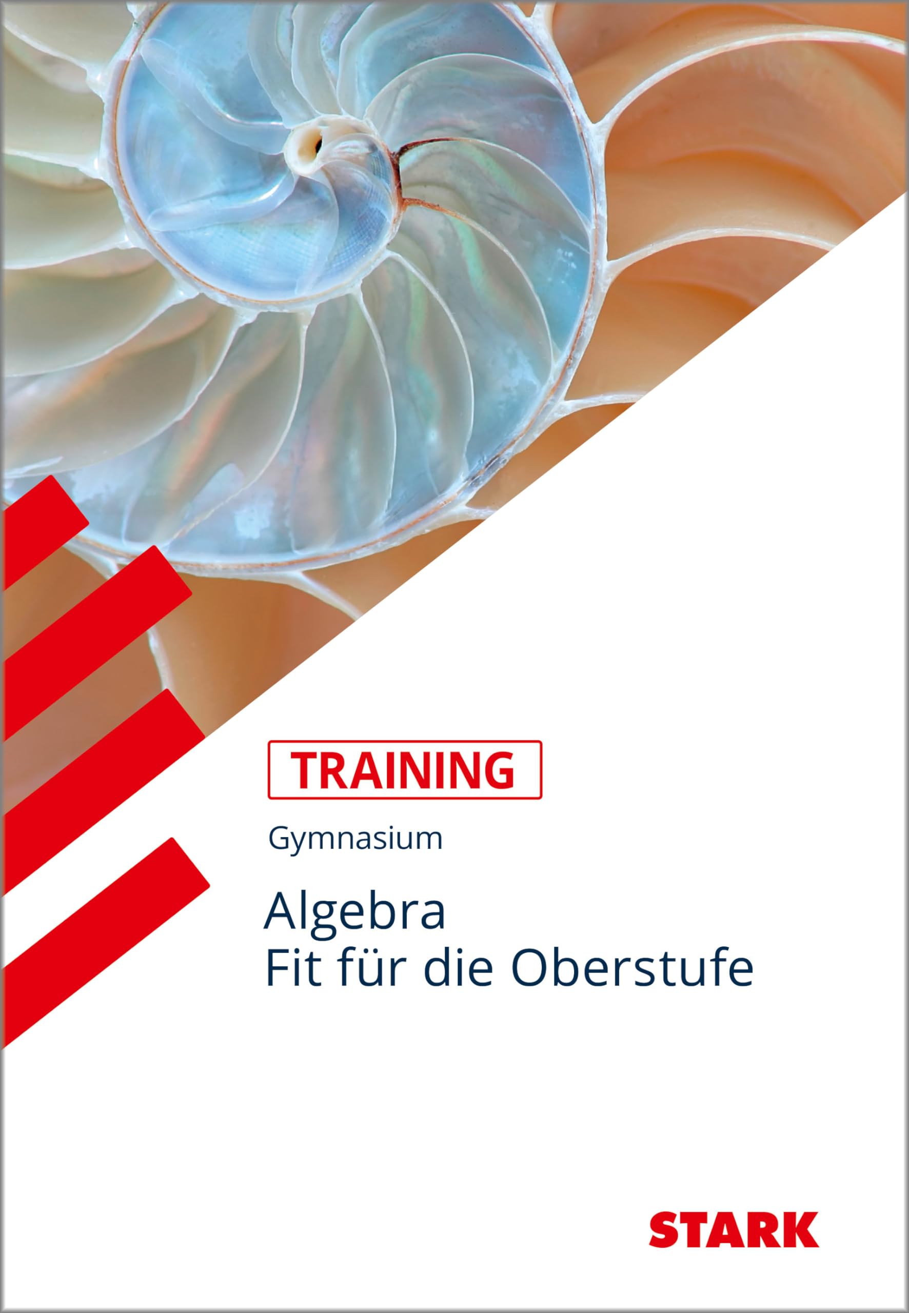Training Gymnasium - Mathematik Wiederholung Algebra Study Guides