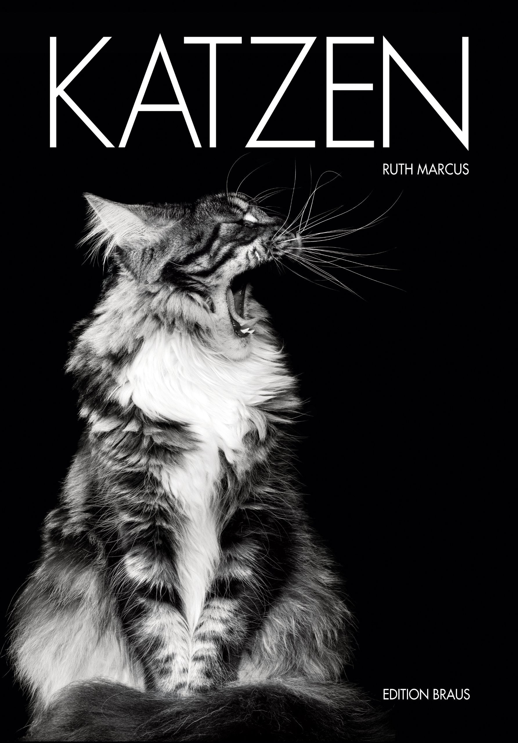 Katzen Film, Art & Culture