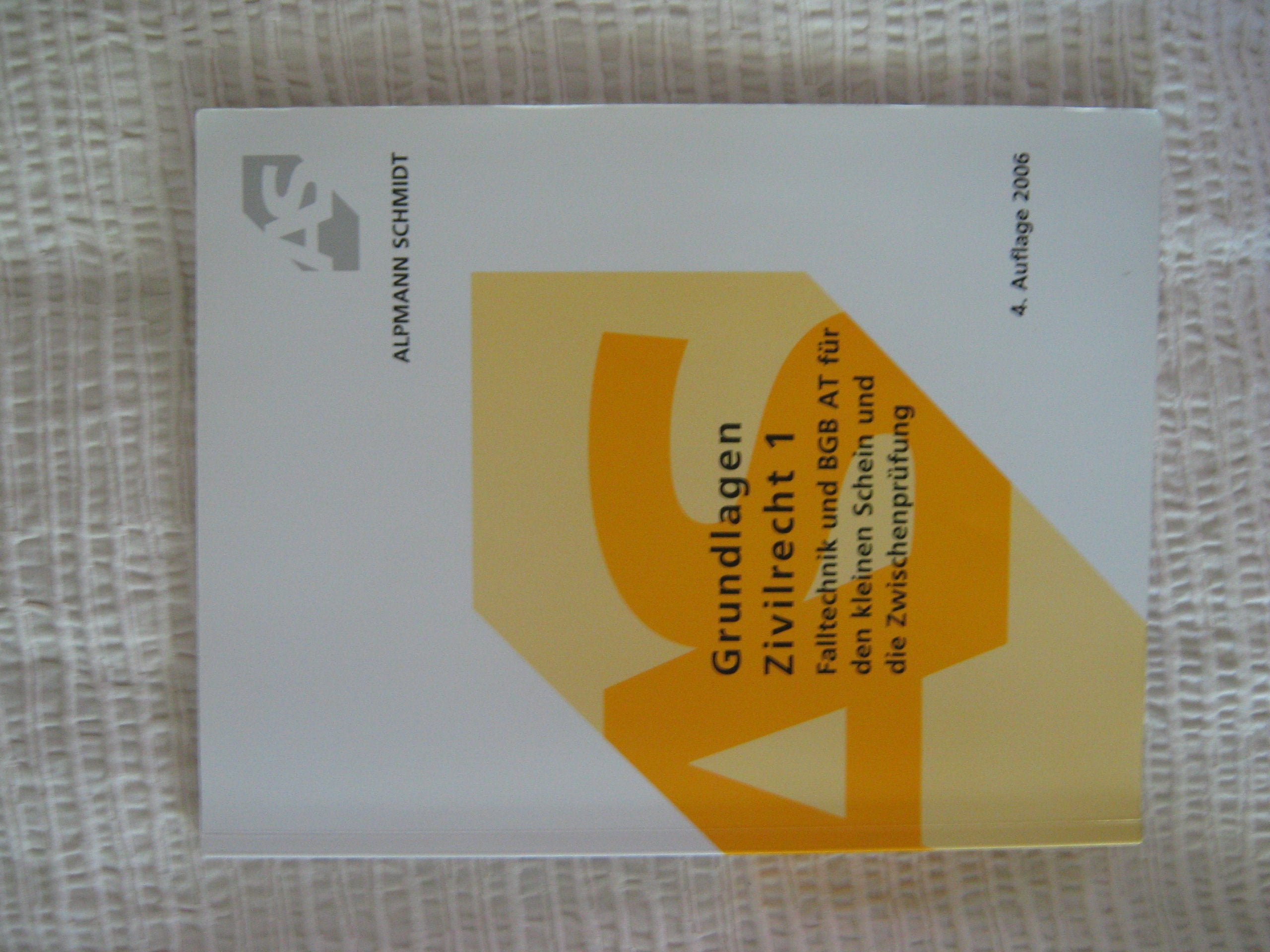 Grundlagen Zivilrecht 1: Falltechnick und BGB AT für den kleinen Schein und die Zwischenprüfung Professional & Reference Books