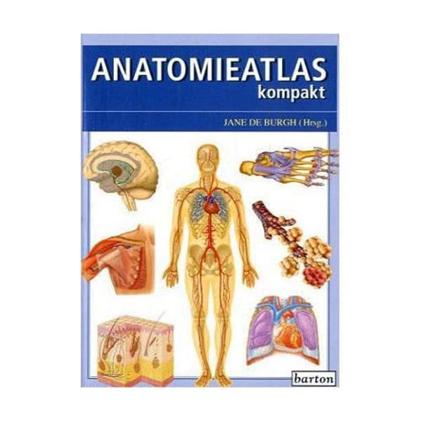 Anatomieatlas kompakt Medicine Books