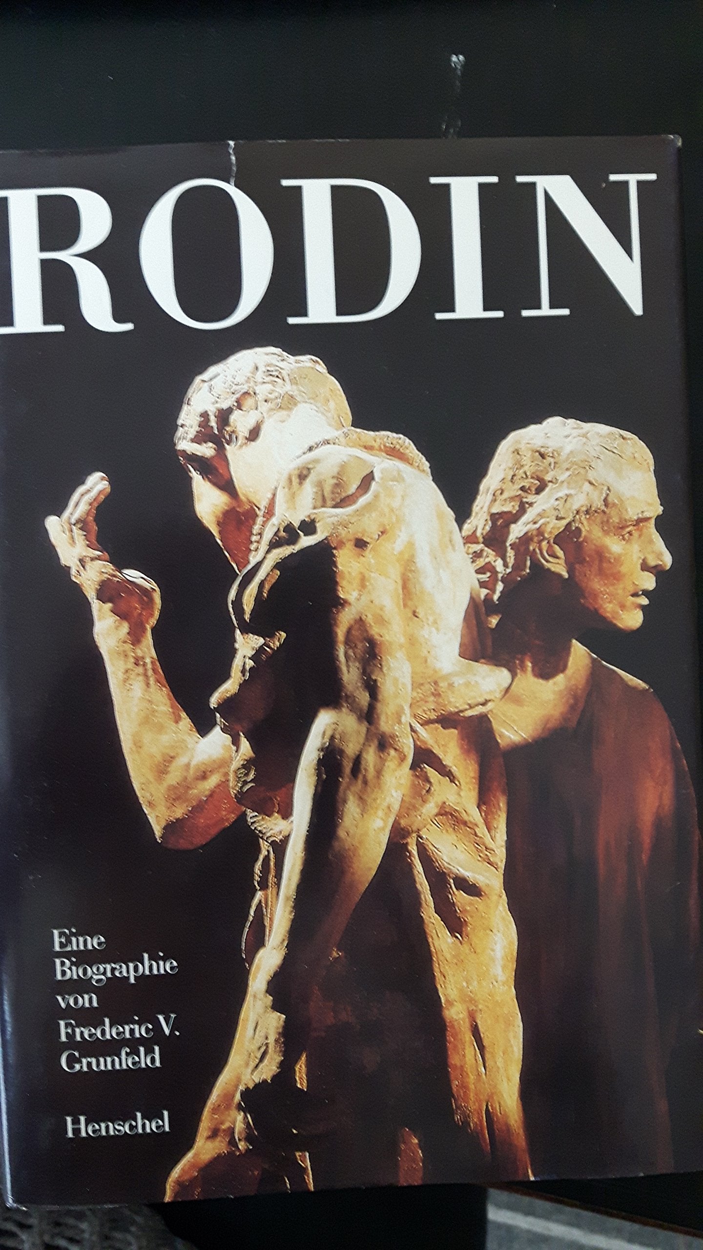 Rodin - eine Biographie Politics & Society Books