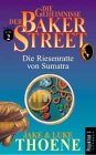 Die Geheimnisse der Baker Street Bd. 2: Die Riesenratte von Sumatra Books