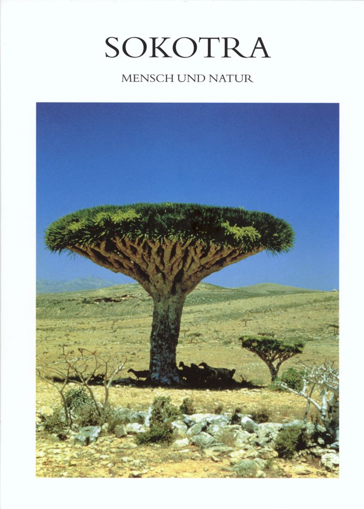 Sokotra: Mensch und Natur (Jemen-Studien, Band 14) Books
