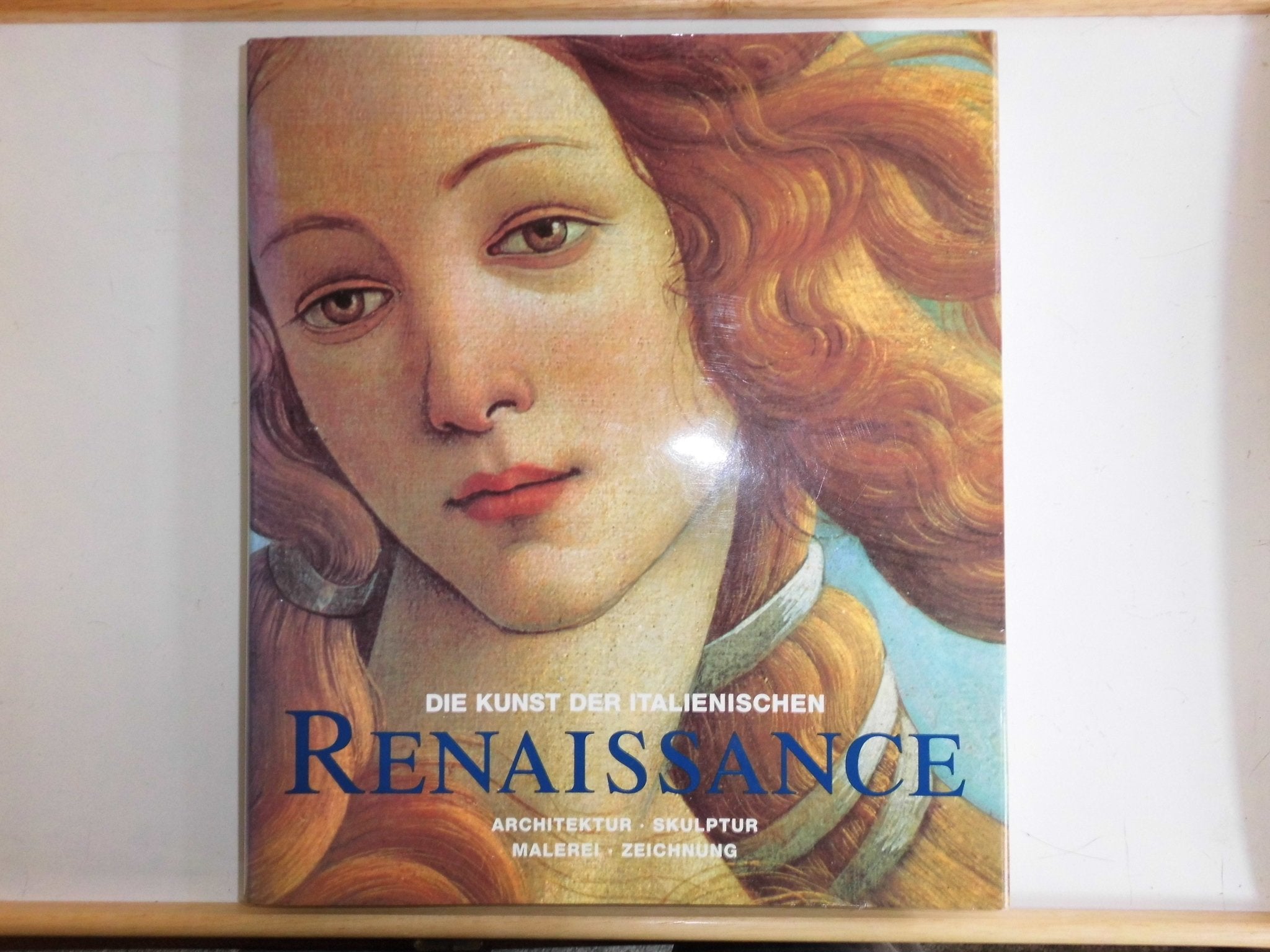 Die Kunst der italienischen Renaissance: Architektur, Skulptur, Malerei, Zeichnung / Architecture, Sculpture, Painting, Drawing Architecture
