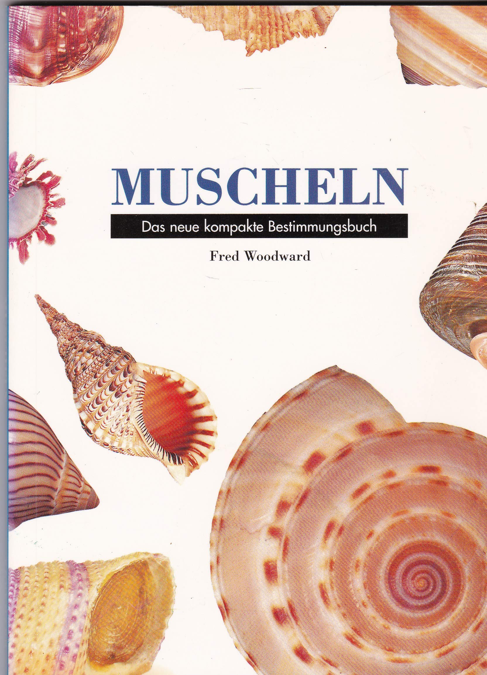 Fred Woodward: Muscheln - Das neue kompakte Bestimmungsbuch Natural Sciences