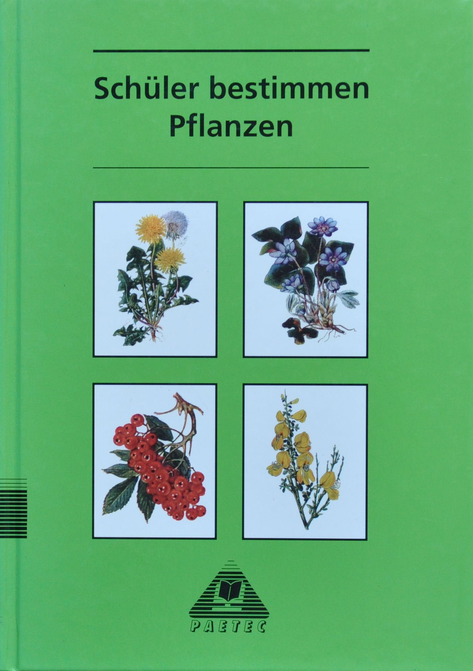 Schüler bestimmen Pflanzen Leisure, Home & Garden