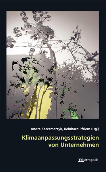 Klimaanpassungsstrategien von Unternehmen (Theorie der Unternehmung) Law