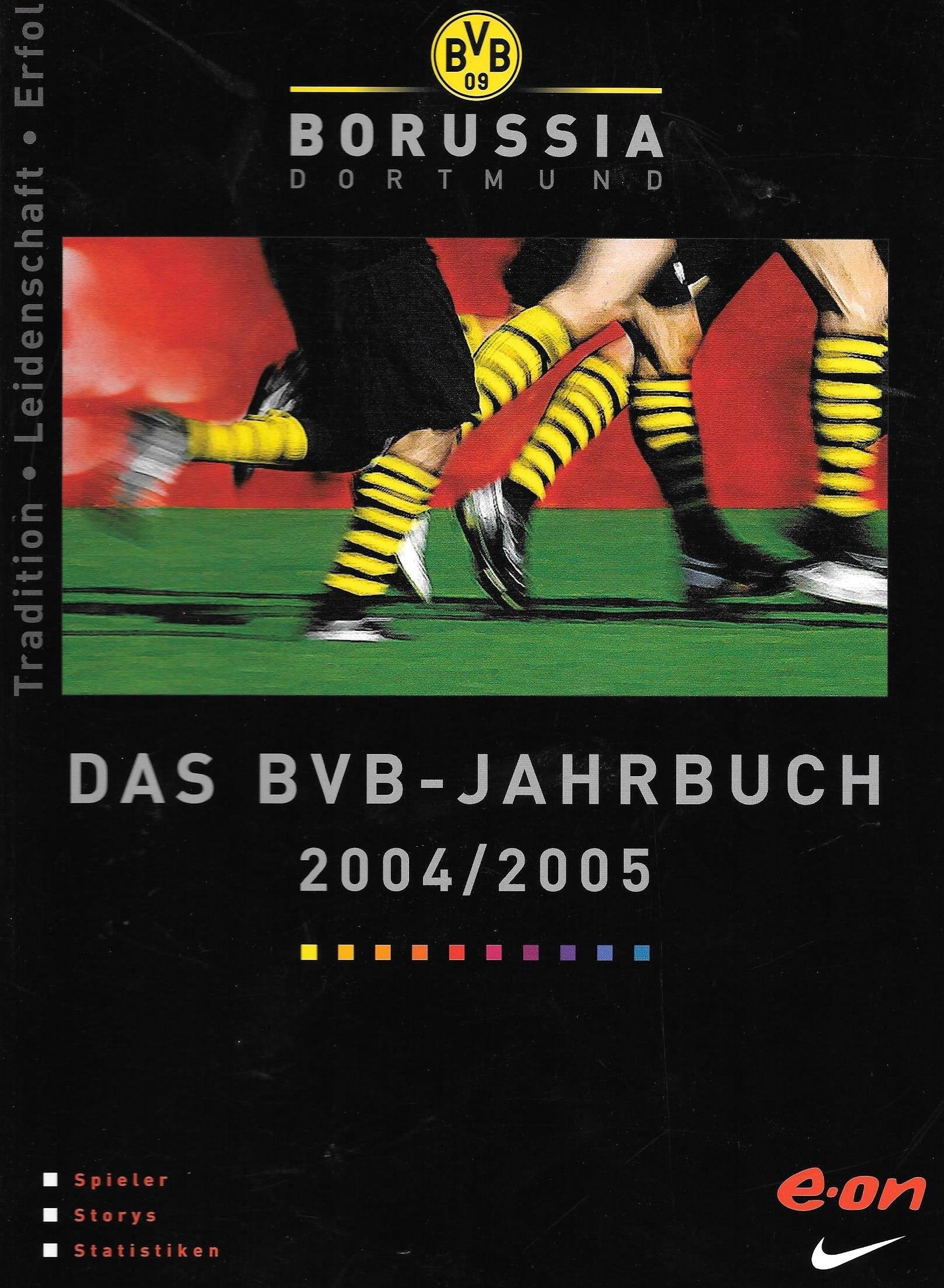 Borussia Dortmund: Das BVB-Jahrbuch 2010/11 book