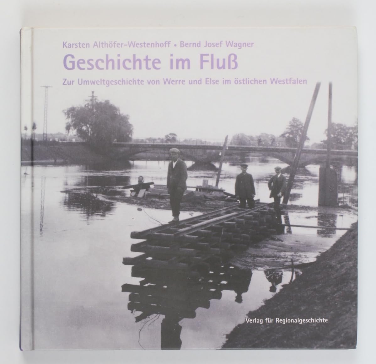 Geschichte im Fluß: Zur Umweltgeschichte von Werre und Else im östlichen Westfalen (Herforder Forschungen) Politics & History