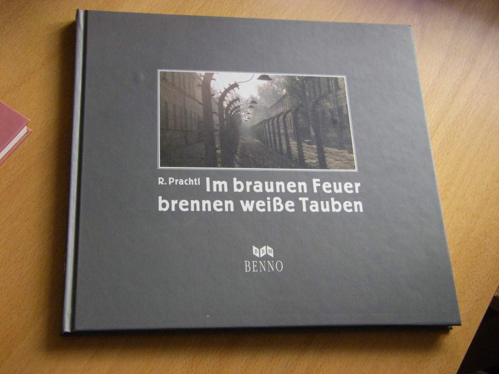 In braunen Feuern brennen weisse Tauben. Konzentrationslager in Ravensbrück und Auschwitz Books