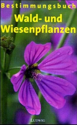 Wald- und Wiesenpflanzen: Bestimmungsbuch Natural Sciences