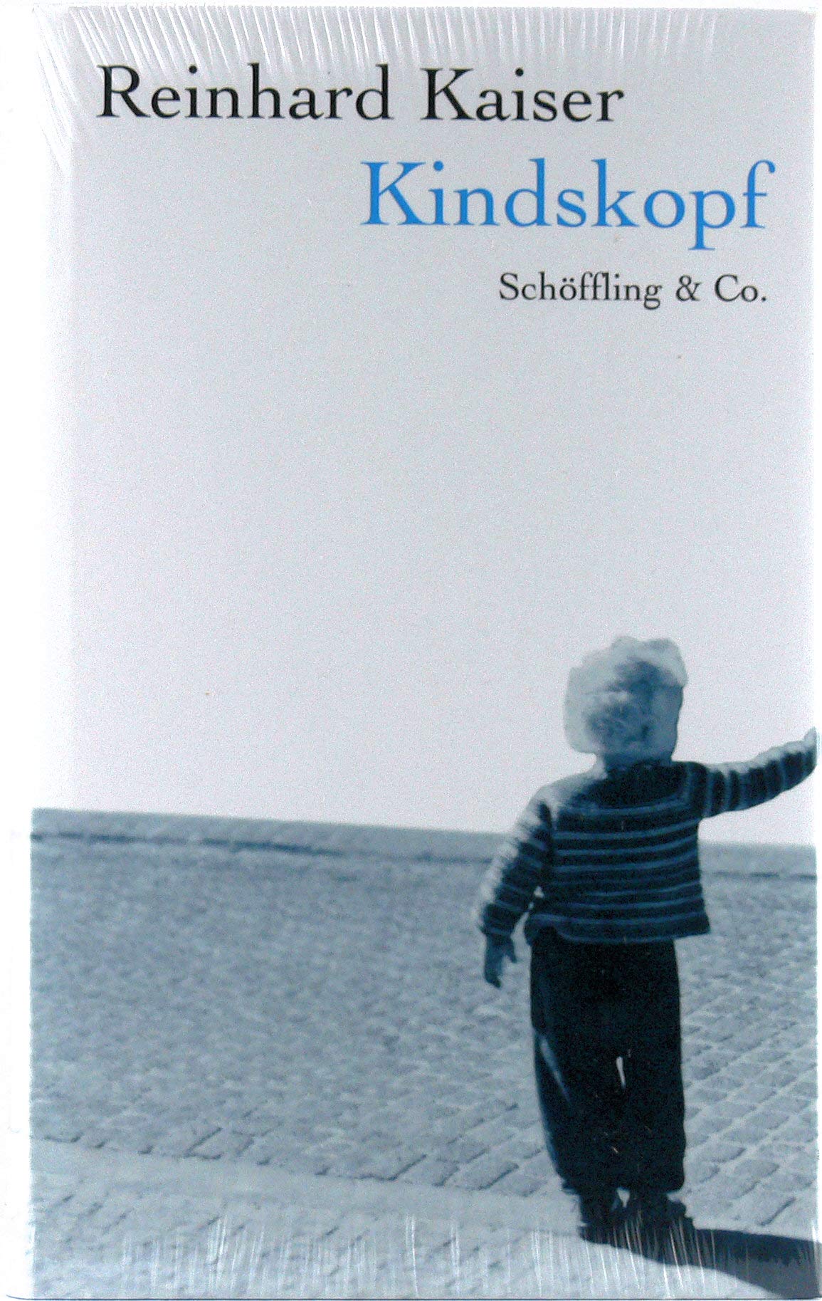 Kindskopf (Gebundene Ausgabe) Contemporary literature