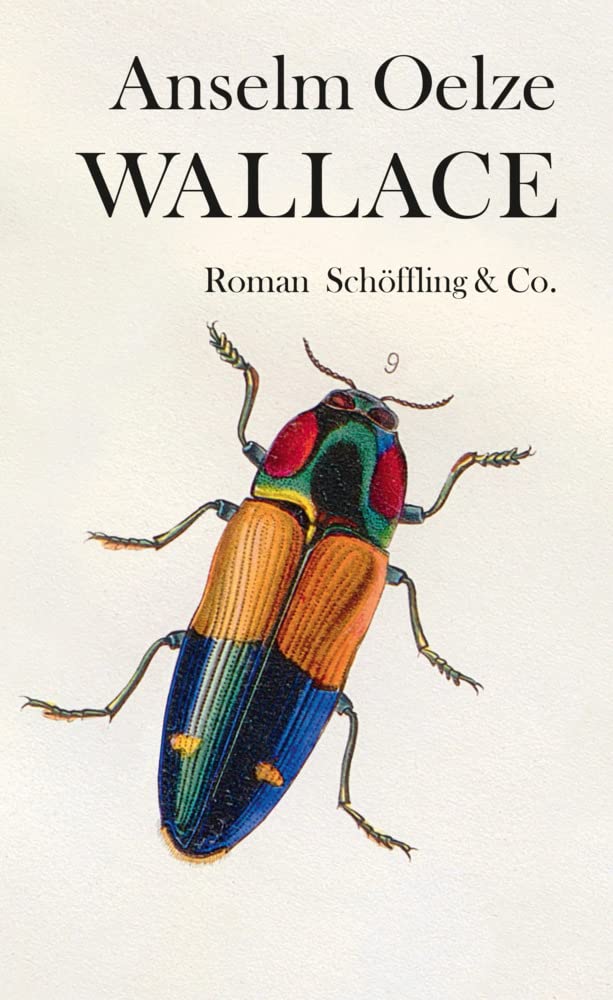 Wallace Contemporary literature Books