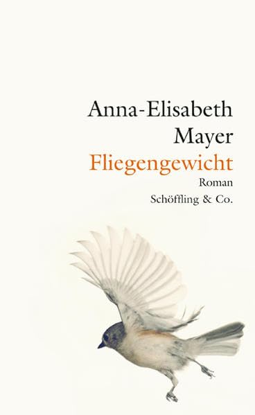 Fliegengewicht Contemporary literature Books