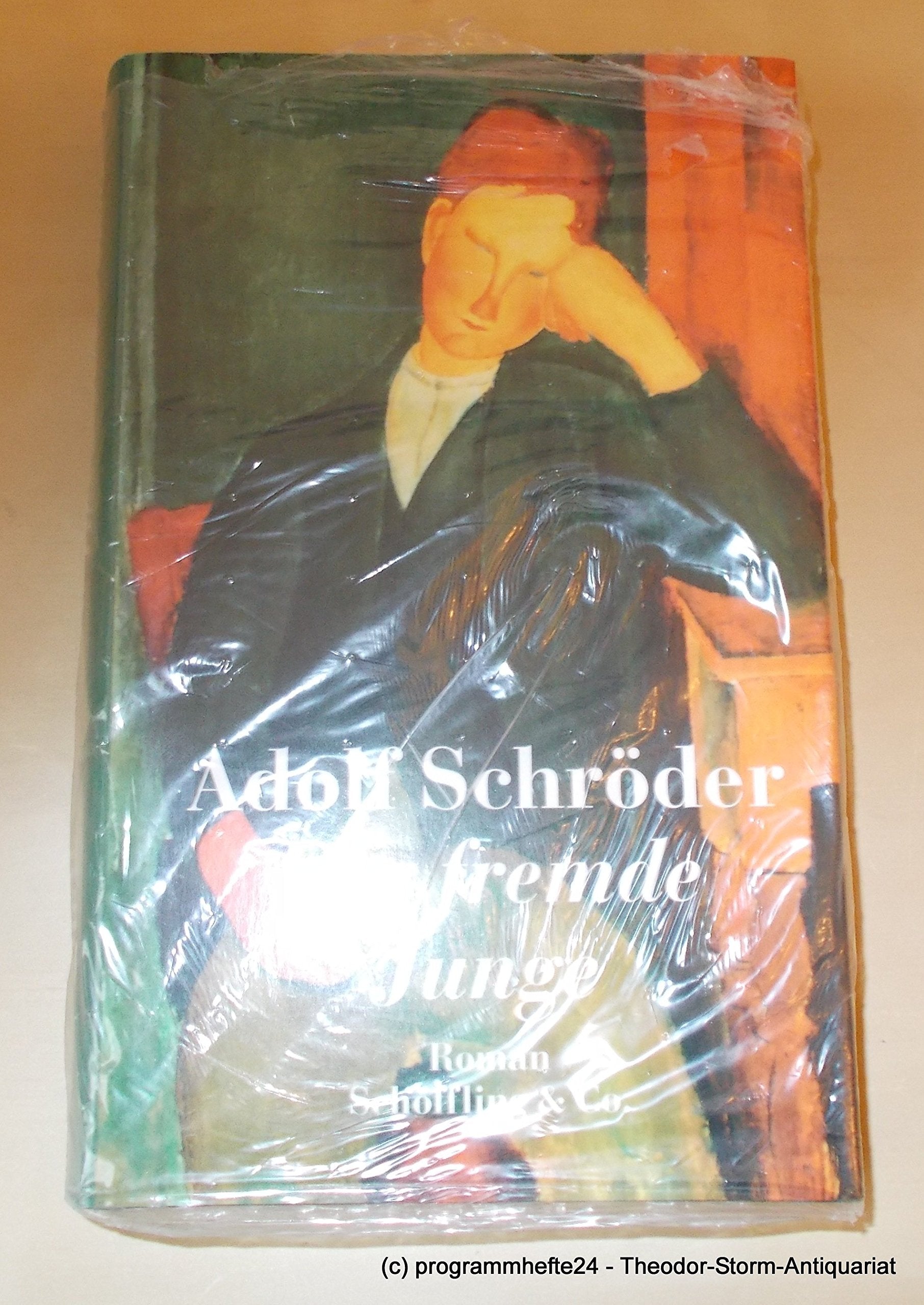 Der fremde Junge Contemporary literature Books