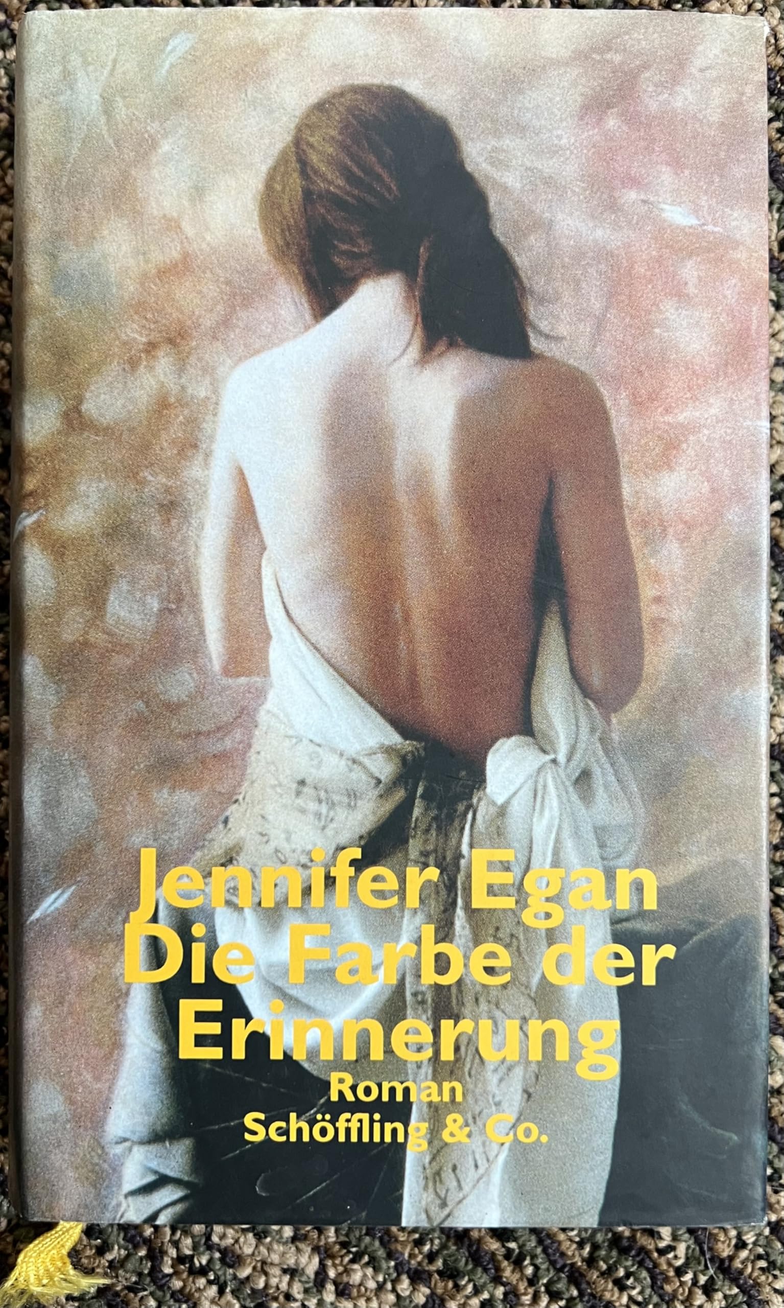 Die Farbe der Erinnerung: Roman. Aus d. Amerikan. v. Günter Ohnemus Contemporary literature