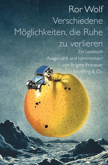 Verschiedene Möglichkeiten, die Ruhe zu verlieren: Ein Lesebuch Contemporary literature
