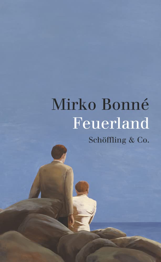 Feuerland Contemporary literature Books