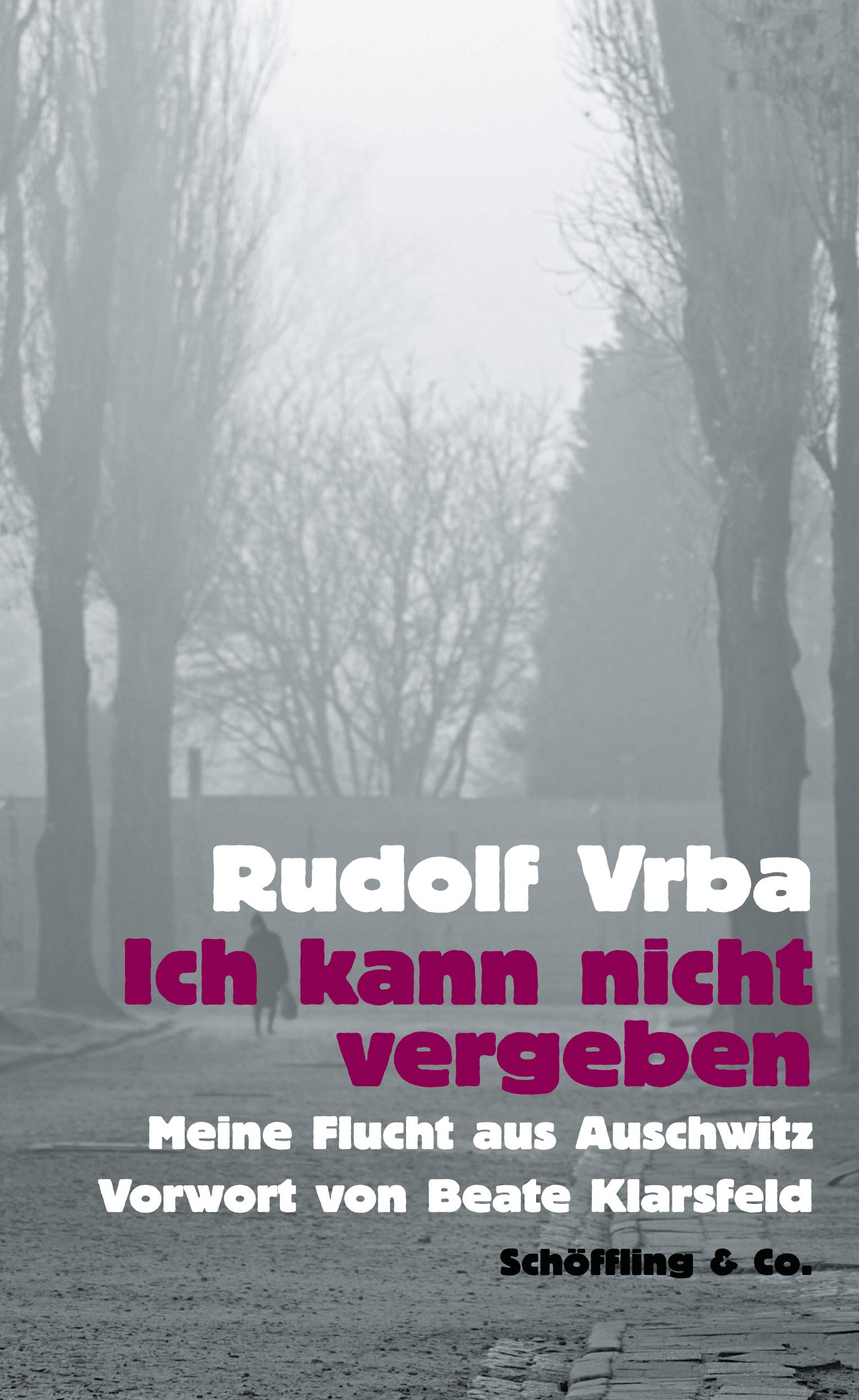 Ich kann nicht vergeben: Meine Flucht aus Auschwitz Memories