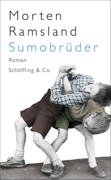 Product Image: Sumobrüder: Roman