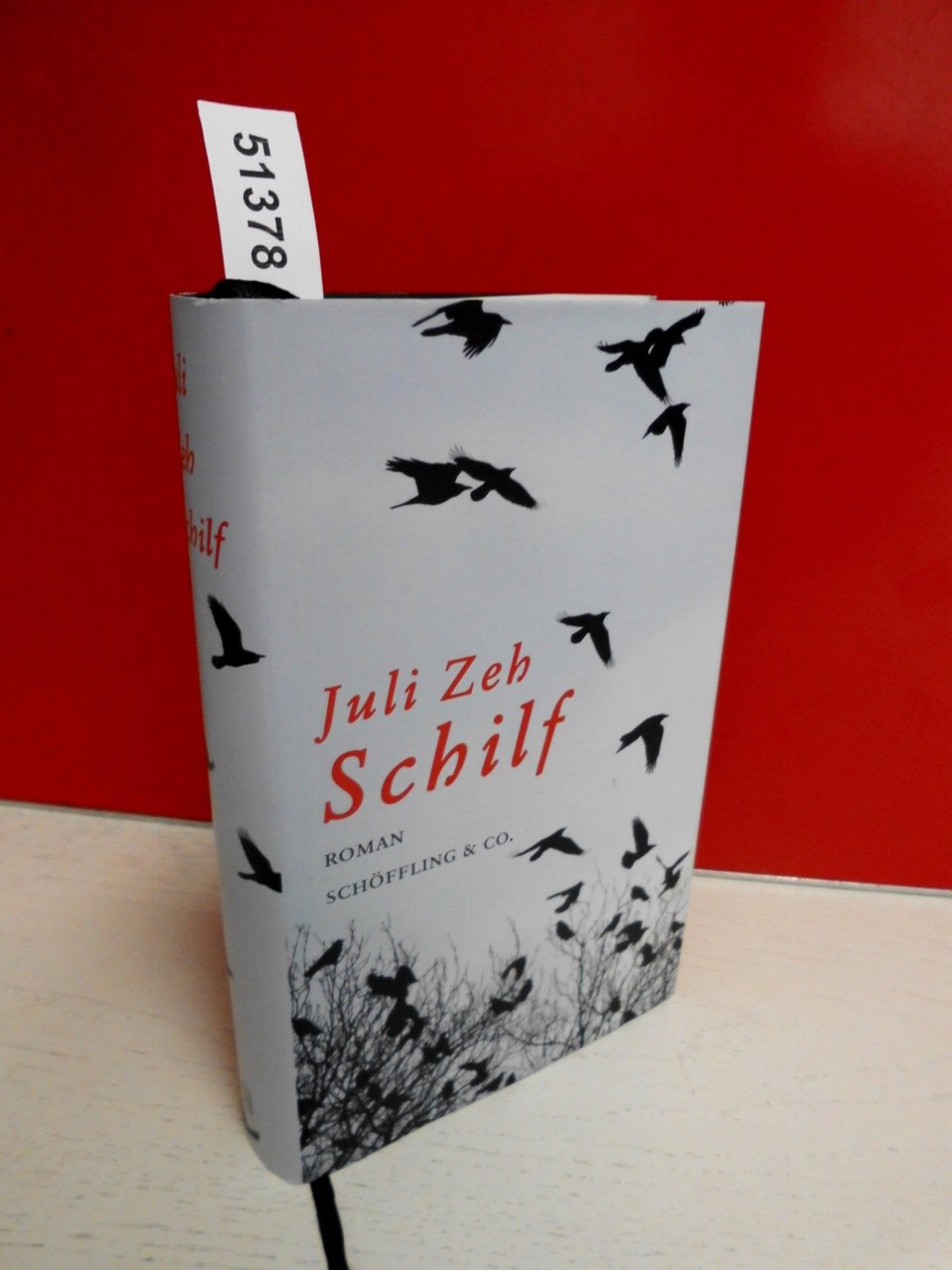 Schilf Contemporary literature Books