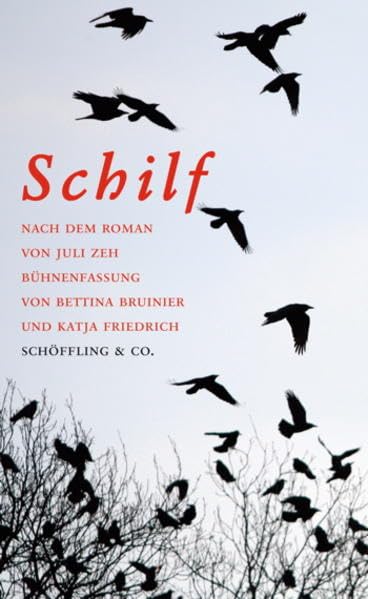 Schilf. Bühnenfassung: Theaterstück Drama