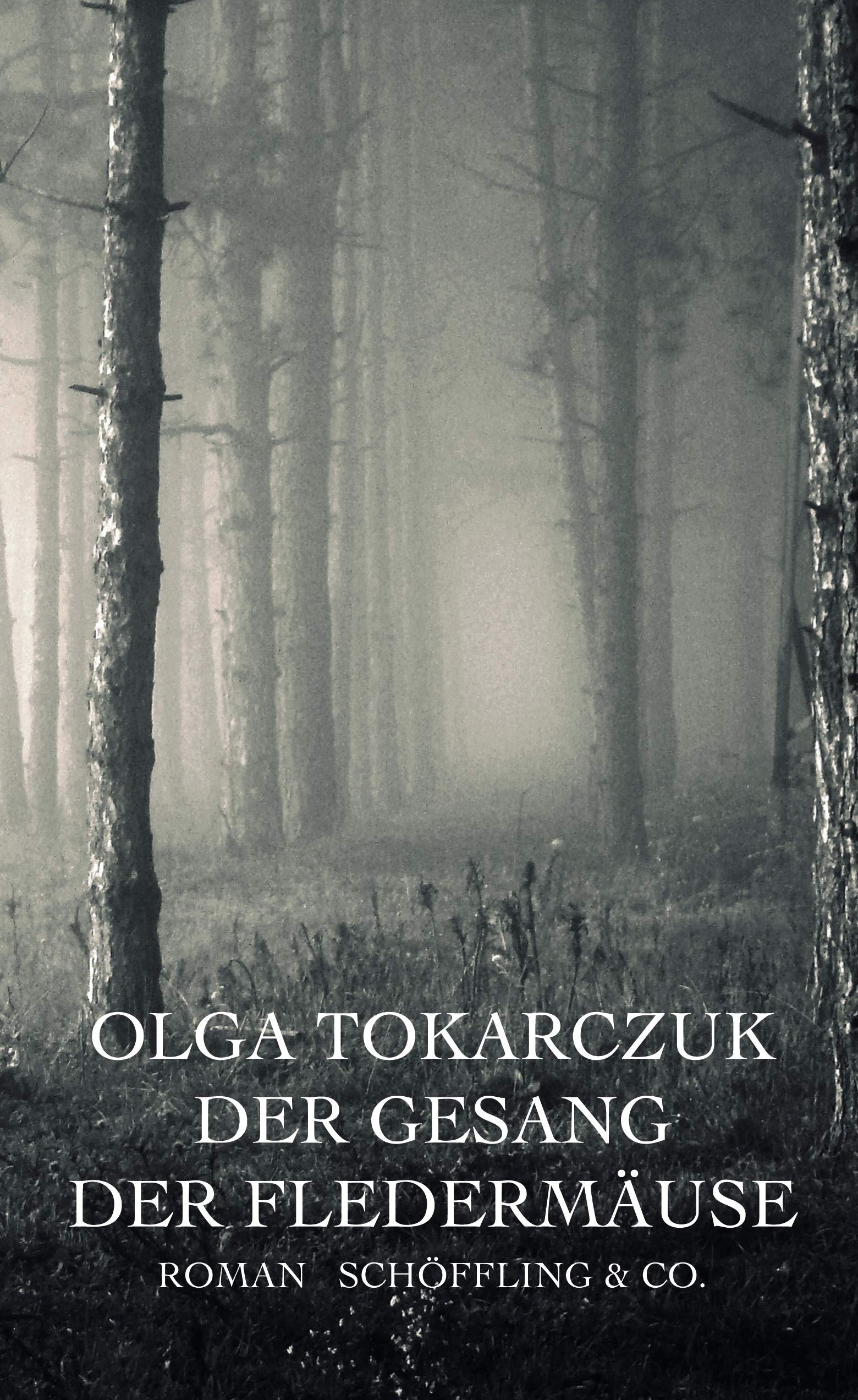 Der Gesang der Fledermäuse Contemporary literature