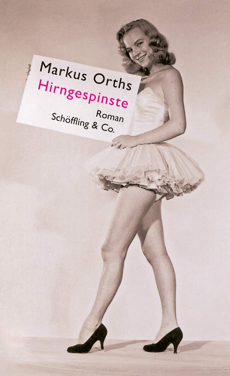 Hirngespinste: Roman Contemporary literature