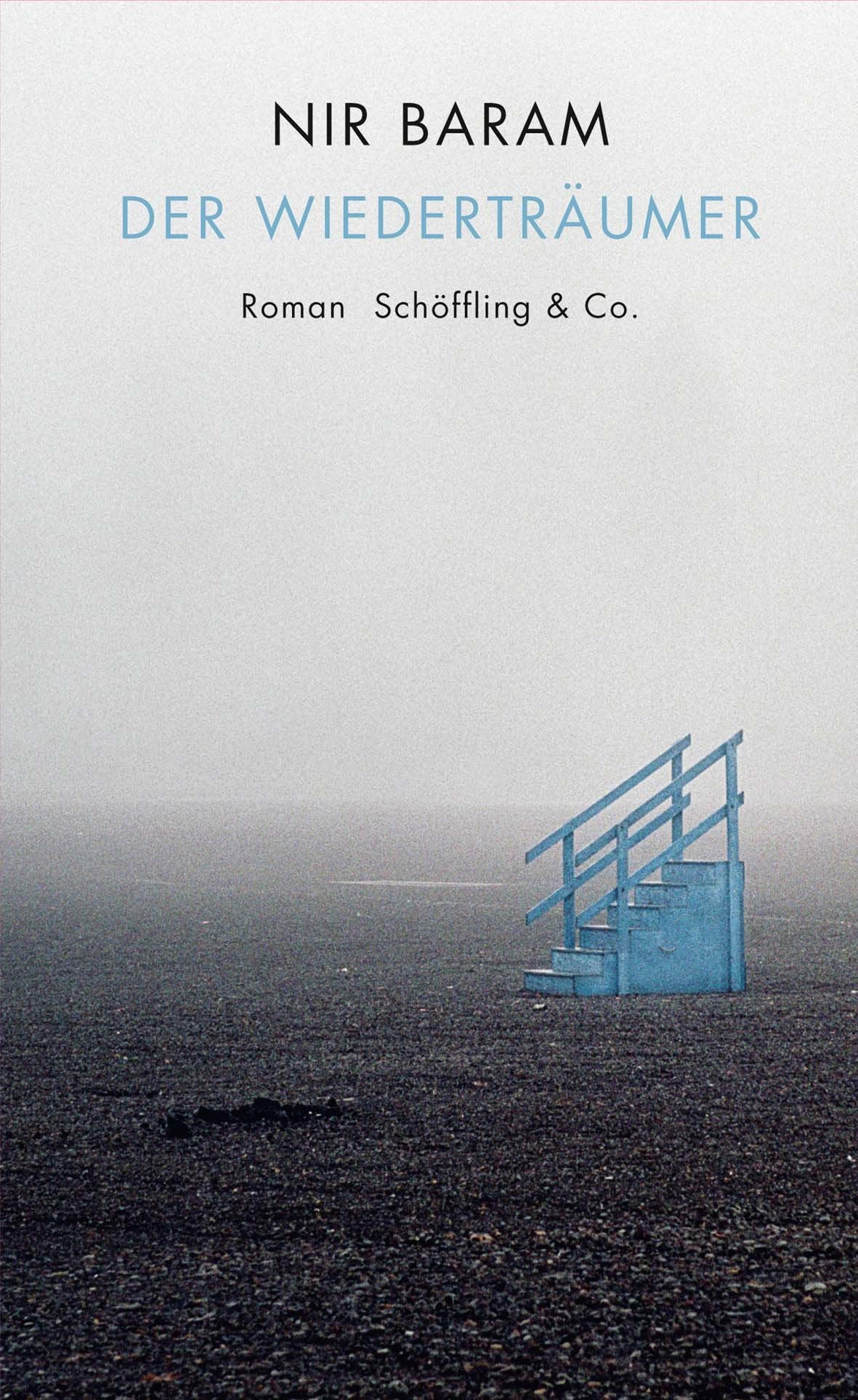 Der Wiederträumer: Roman Contemporary literature Books