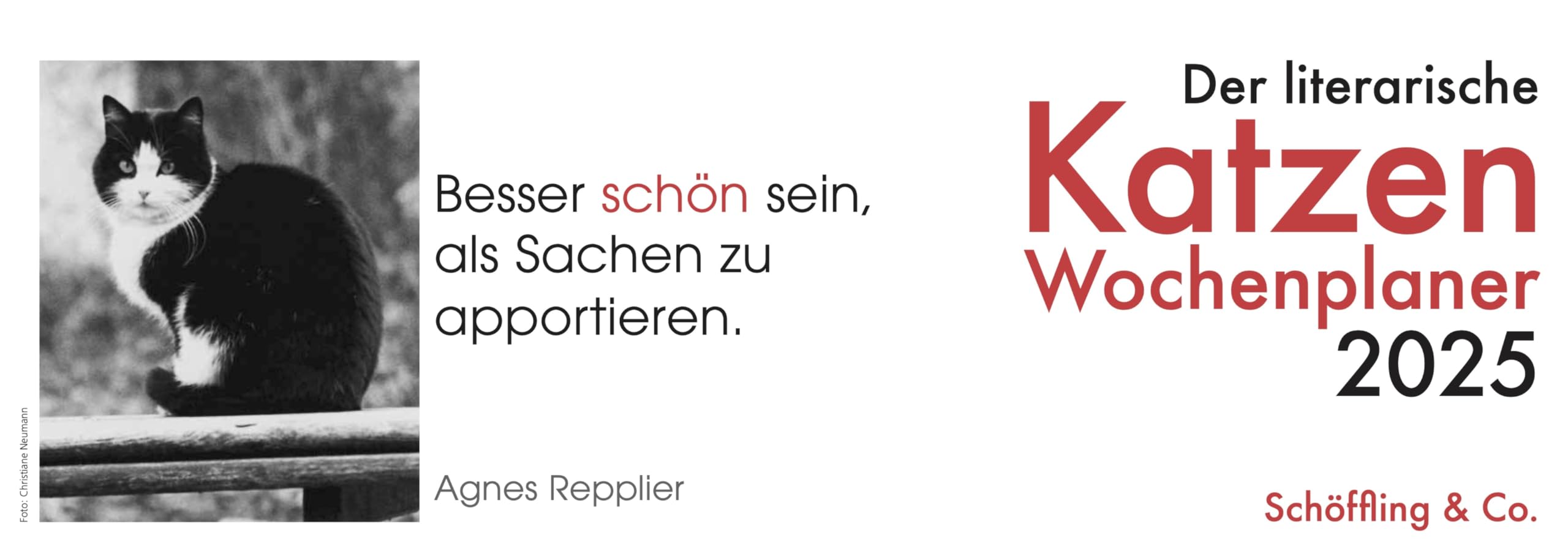 Der literarische Katzen Wochenplaner 2025 Lifestyle