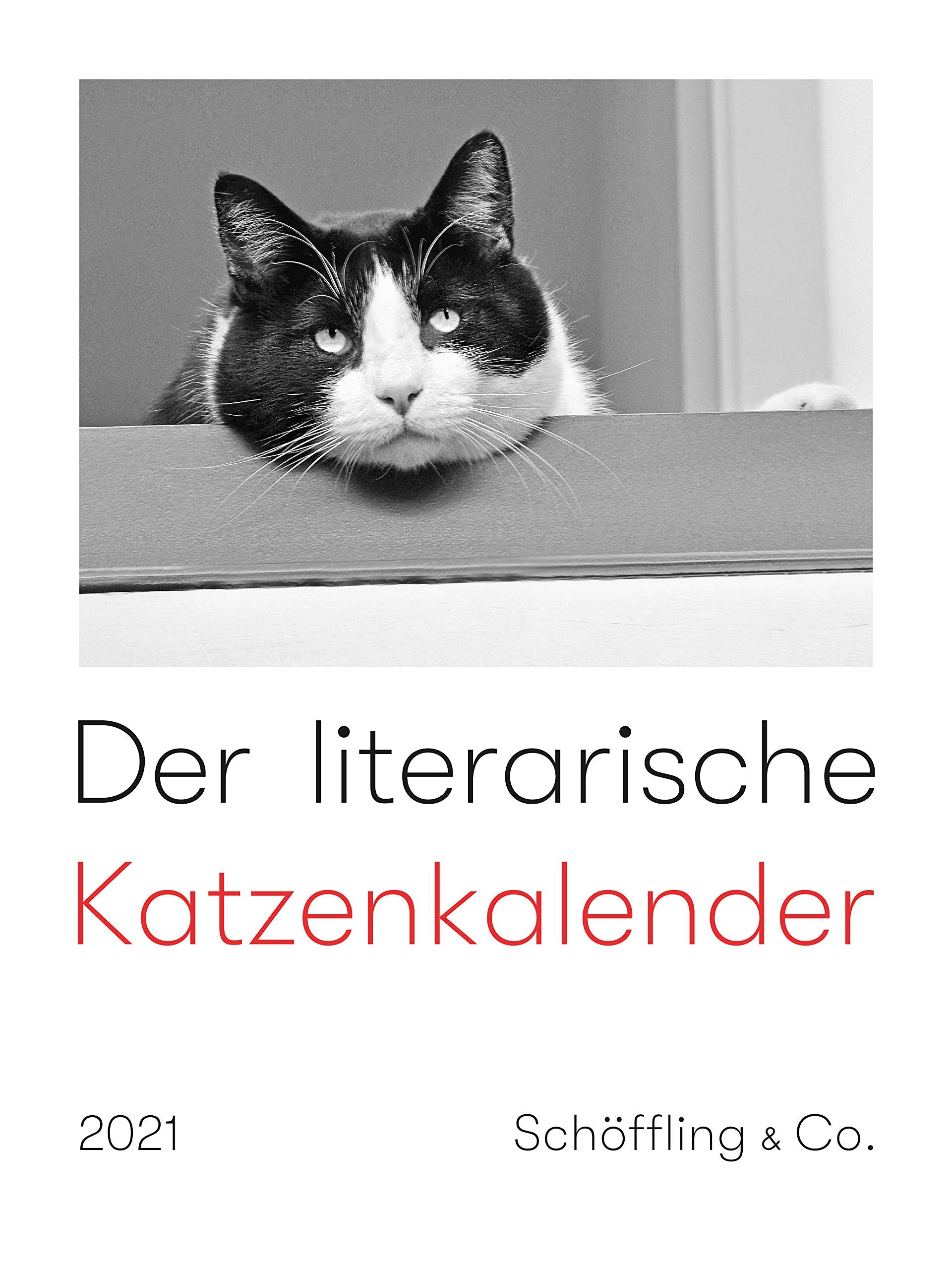 Der literarische Katzenkalender 2021 Lifestyle